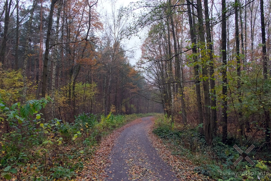 Pojezierze Dzierzgońsko-Morąskie