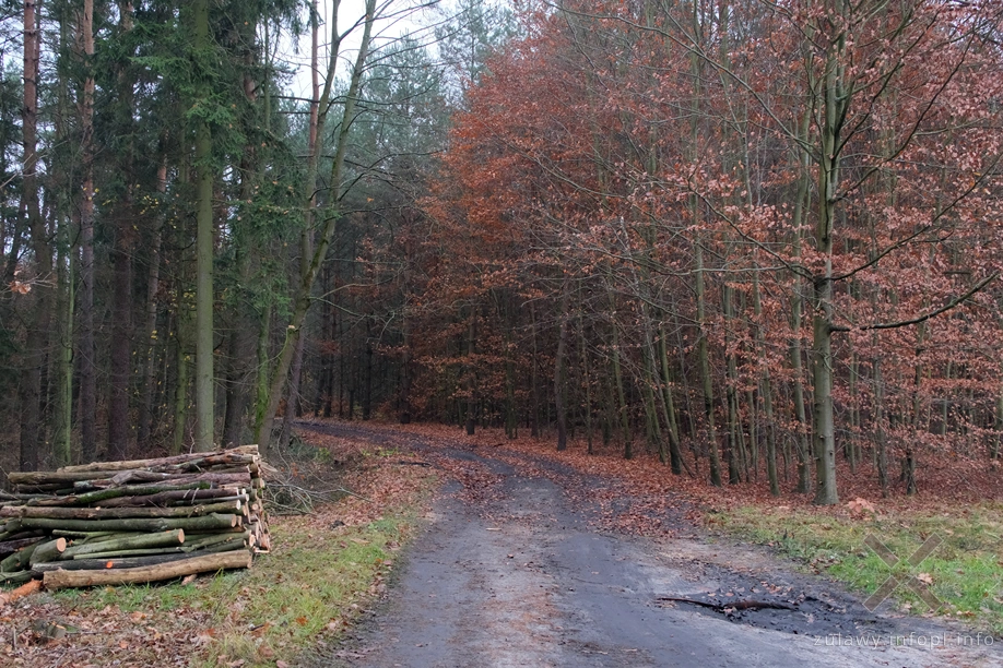 Pojezierze Dzierzgońsko-Morąskie