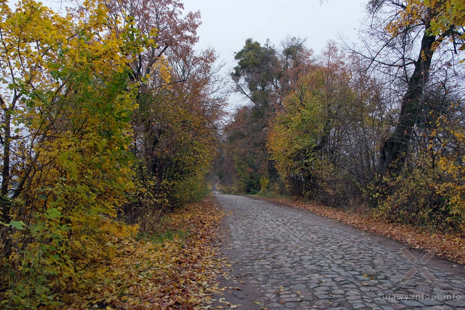 Pojezierze Dzierzgońsko-Morąskie