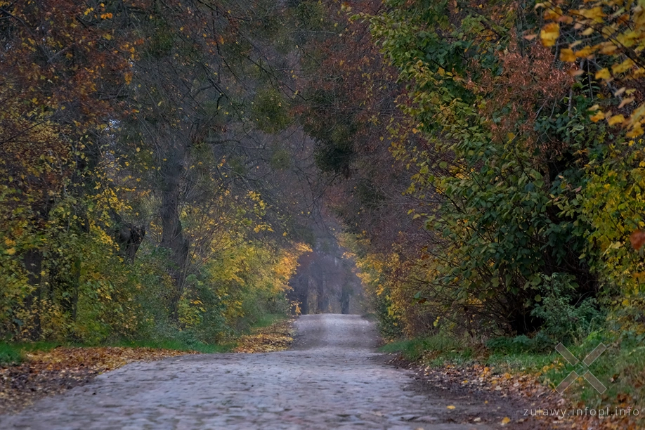 Pojezierze Dzierzgońsko-Morąskie