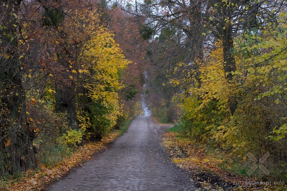 Pojezierze Dzierzgońsko-Morąskie