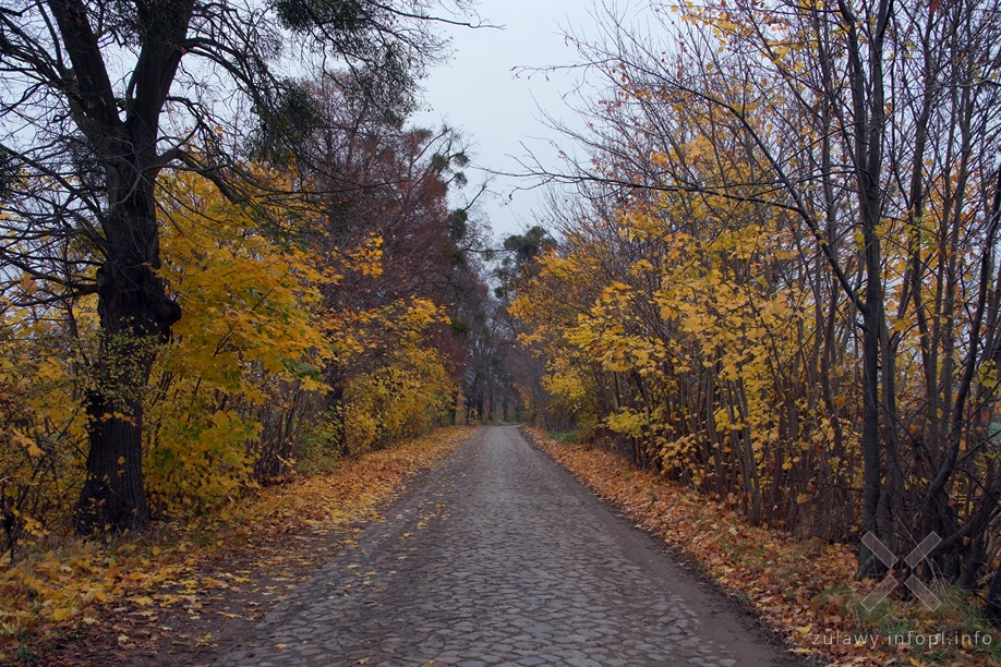 Pojezierze Dzierzgońsko-Morąskie