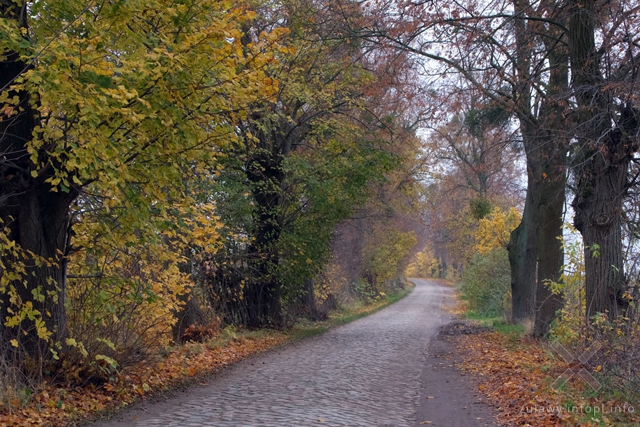 Pojezierze Dzierzgońsko-Morąskie