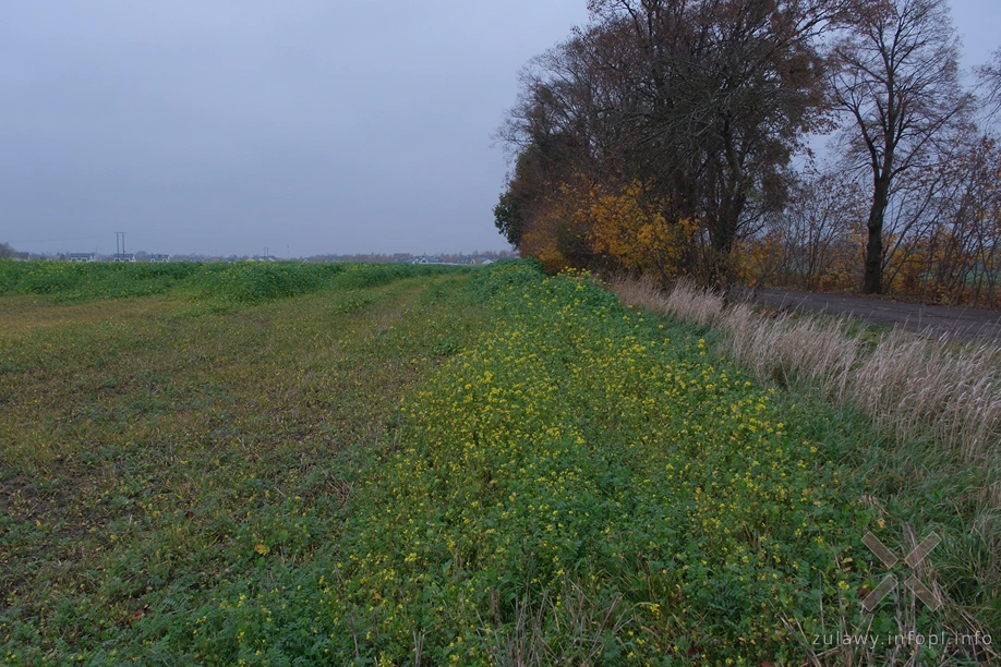 Pojezierze Dzierzgońsko-Morąskie