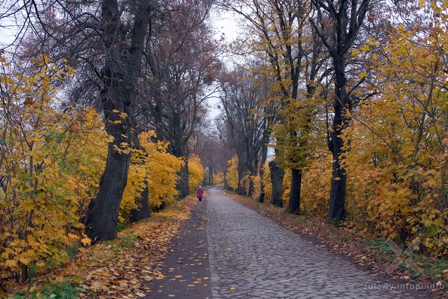 Pojezierze Dzierzgońsko-Morąskie