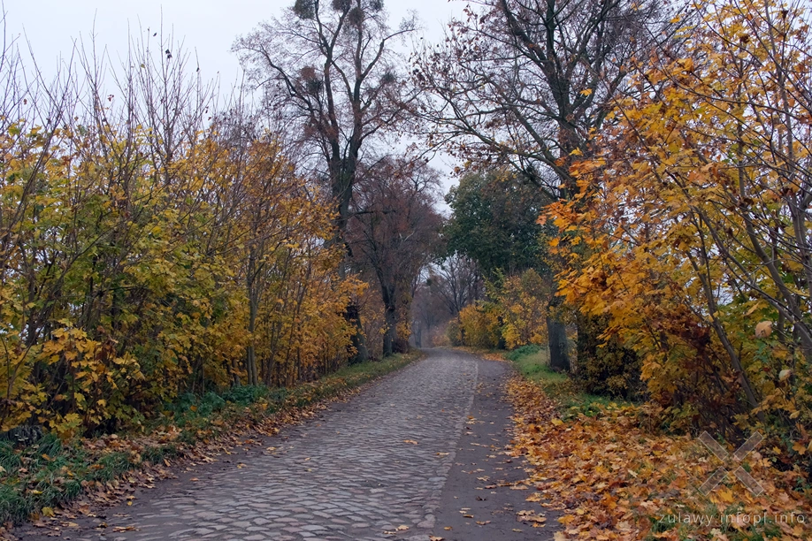 Pojezierze Dzierzgońsko-Morąskie
