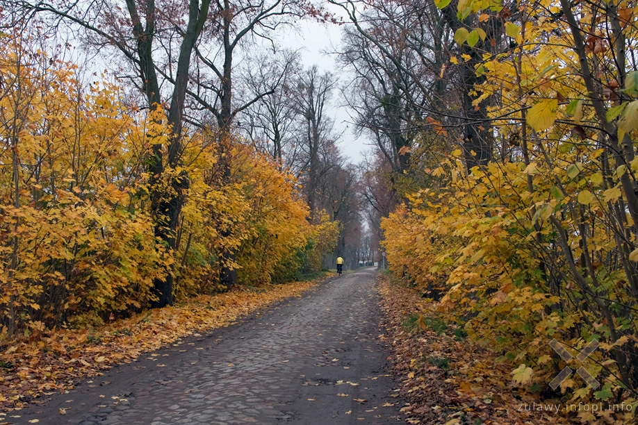 Pojezierze Dzierzgońsko-Morąskie