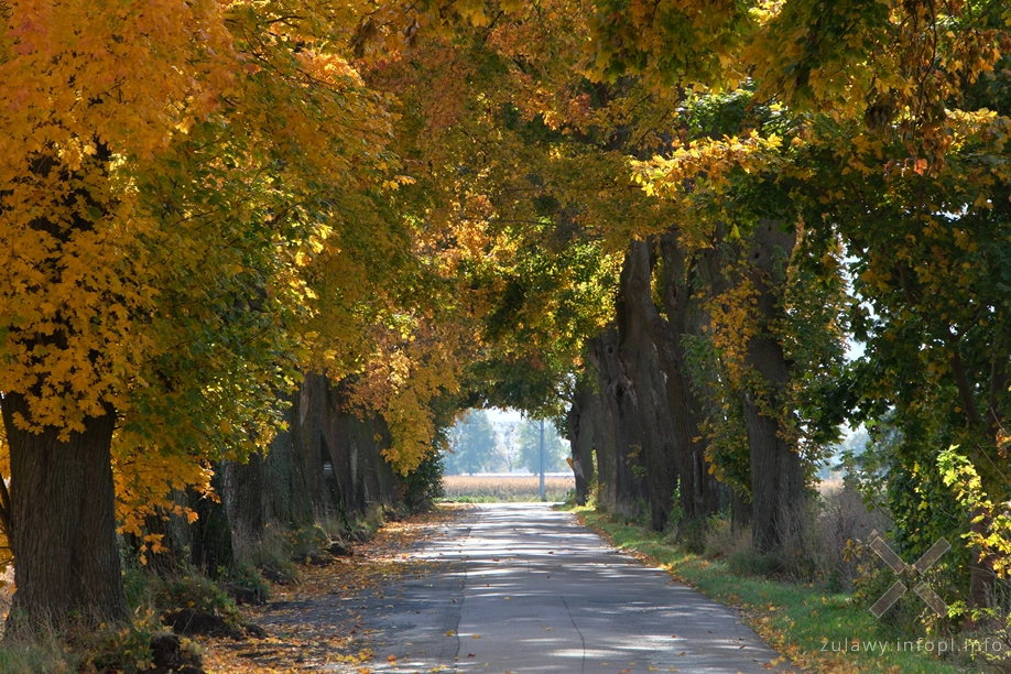 Żuławy Wiślane Żuławy Wiślane