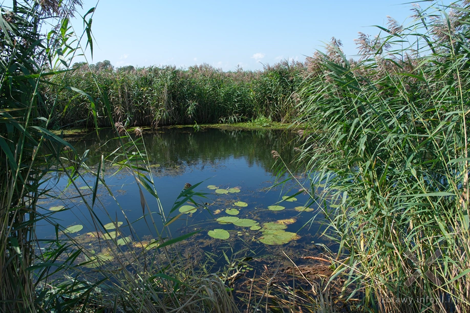 Rzeka Święta Rzeka Święta