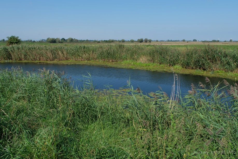 Rzeka Święta Rzeka Święta