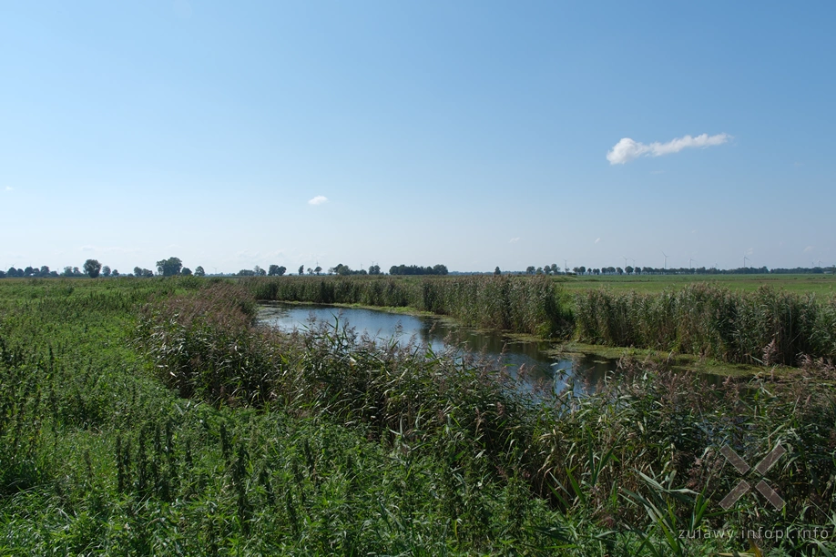 Rzeka Święta Rzeka Święta