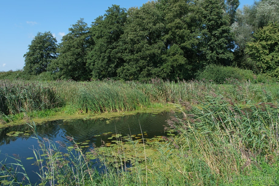 Rzeka Święta Rzeka Święta