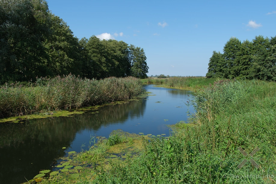 Rzeka Święta Rzeka Święta
