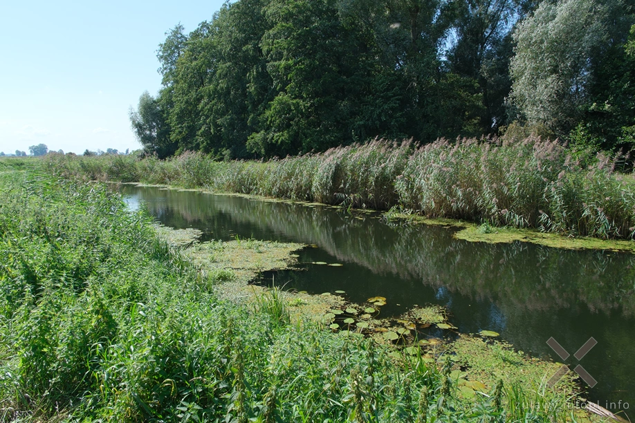 Rzeka Święta Rzeka Święta