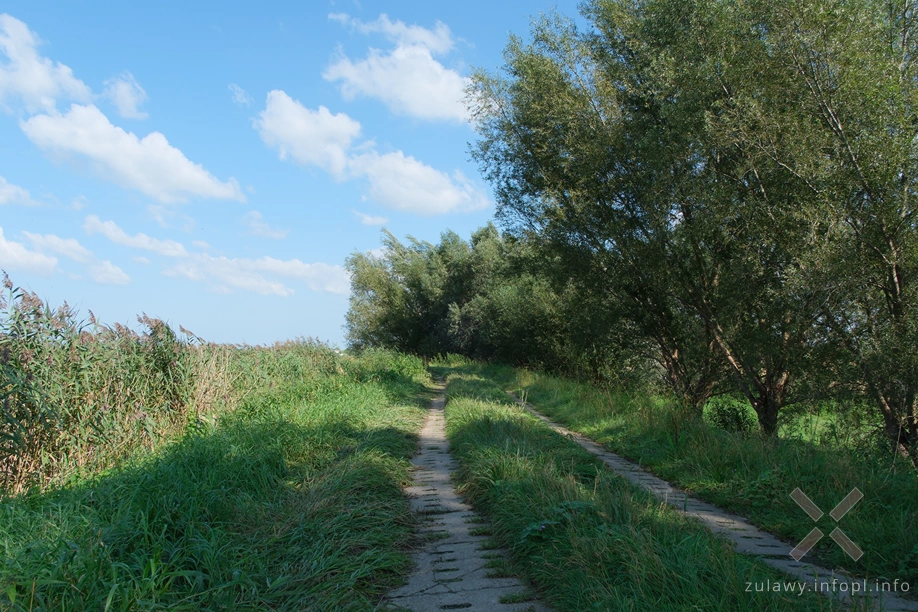 Żuławy Wiślane Żuławy Wiślane