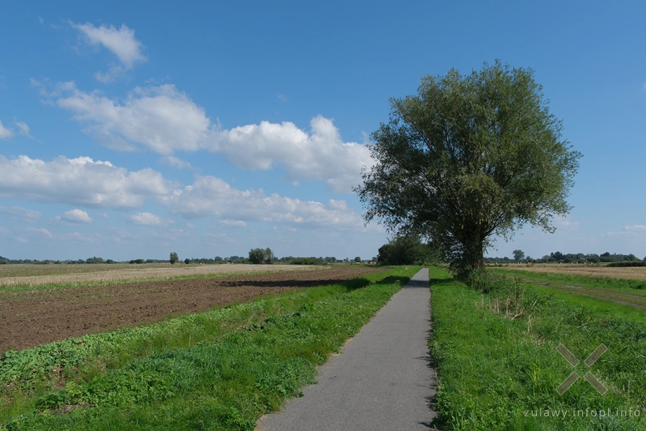 Żuławy Wiślane Żuławy Wiślane