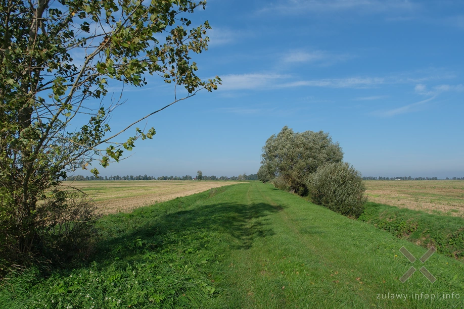 Żuławy Wiślane