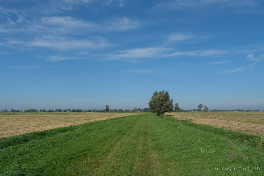 Żuławy Wiślane