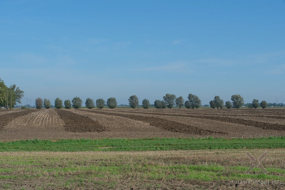 Żuławy Wiślane