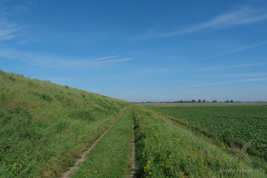 Żuławy Wiślane