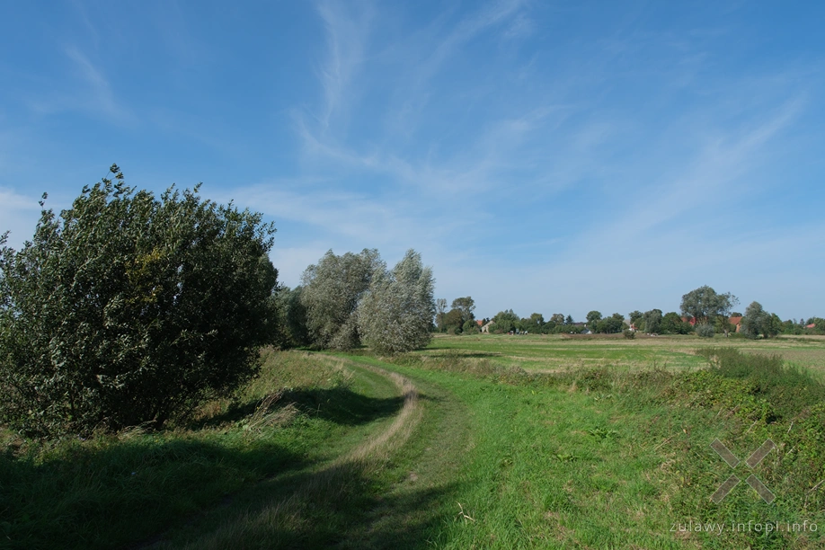 Żuławy Wiślane