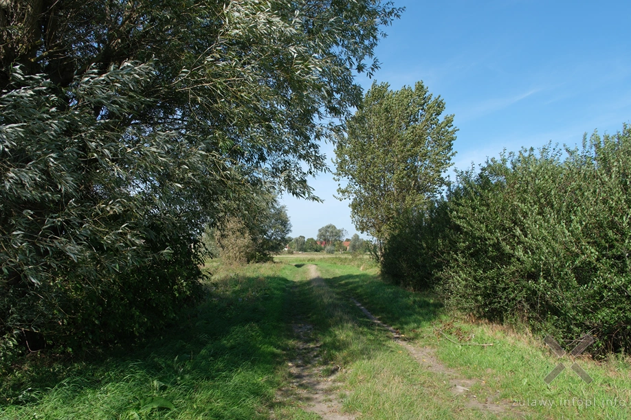 Żuławy Wiślane