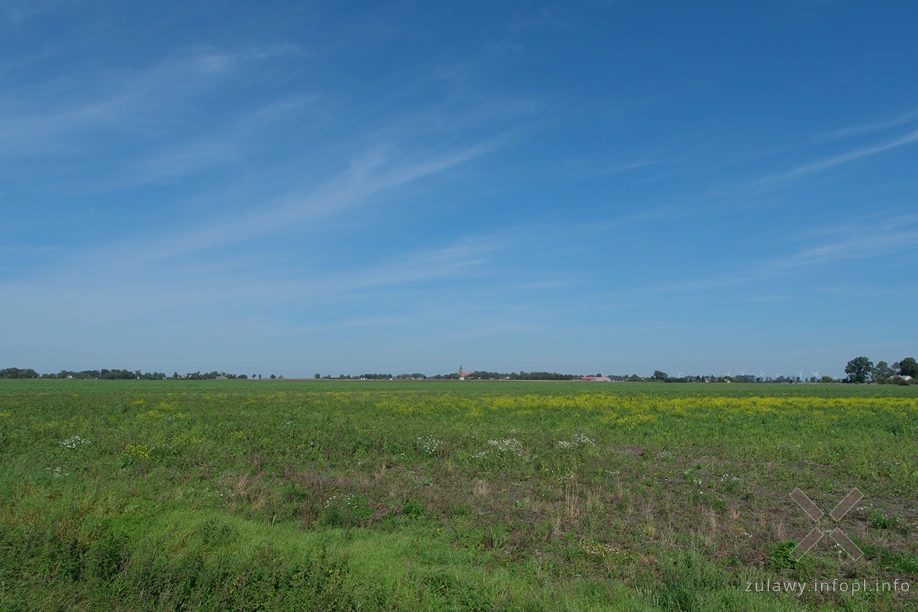 Lichnowy