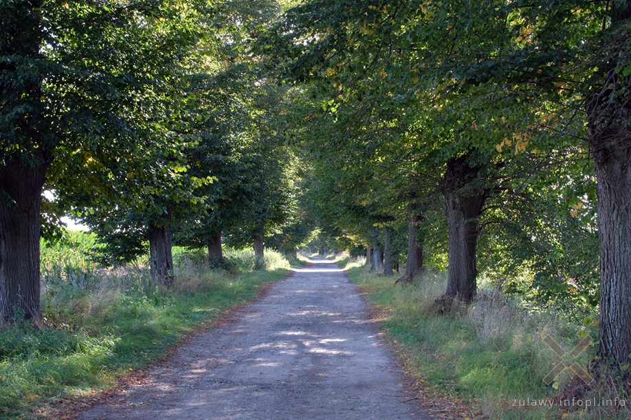 Żuławy Wiślane
