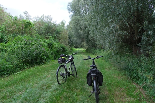 Polder Marzęcino