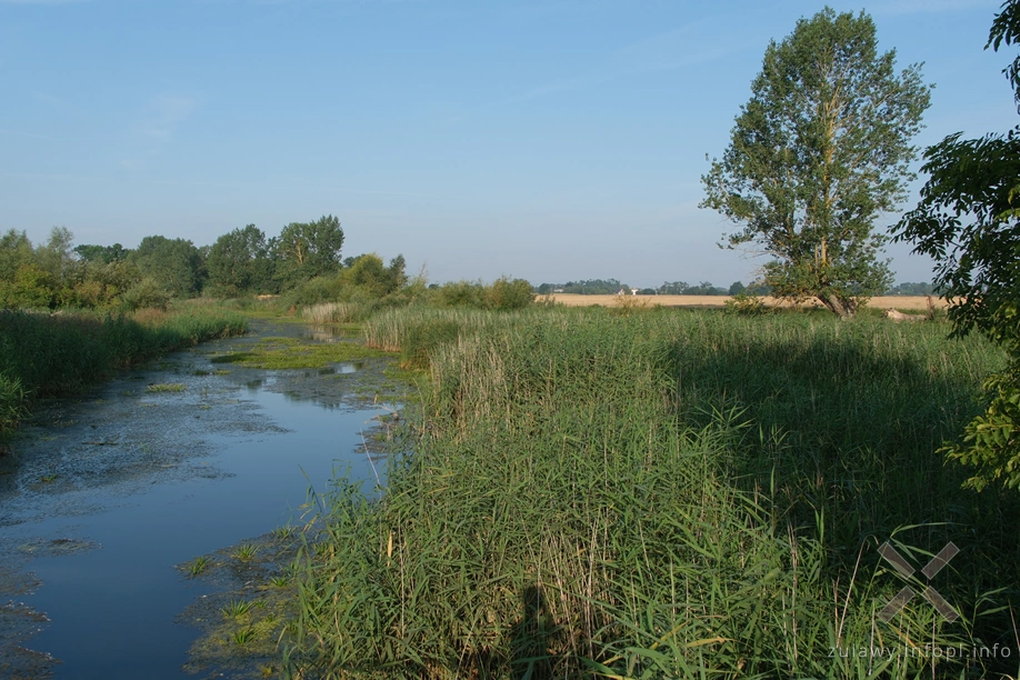 Rzeka Święta Rzeka Święta