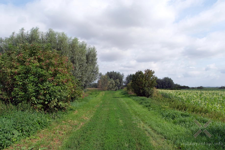 Polder Marzęcino Polder Marzęcino