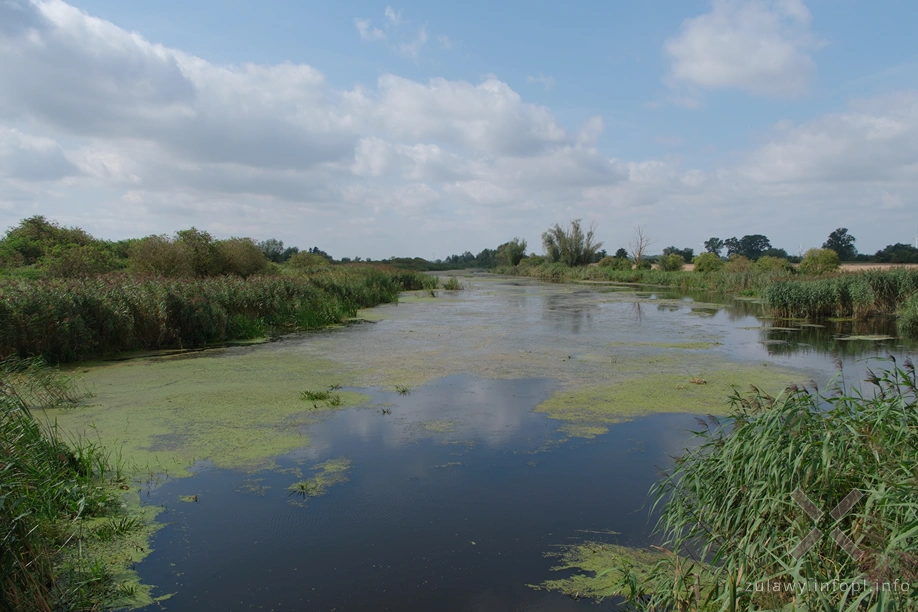 Polder Marzęcino- Stara Tuga Polder Marzęcino- Stara Tuga