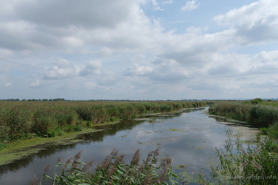 Polder Marzęcino- Stara Tuga Polder Marzęcino- Stara Tuga