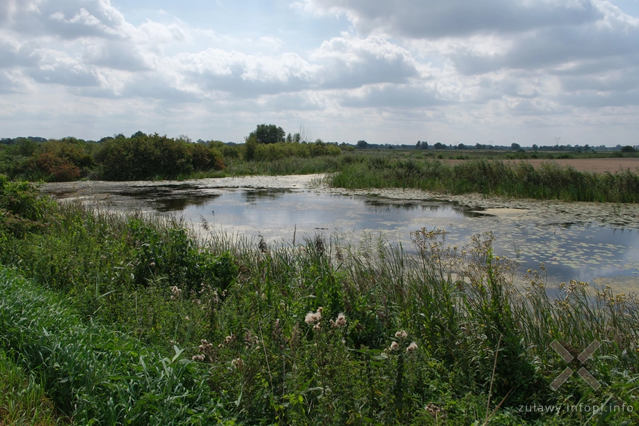 Polder Marzęcino Polder Marzęcino