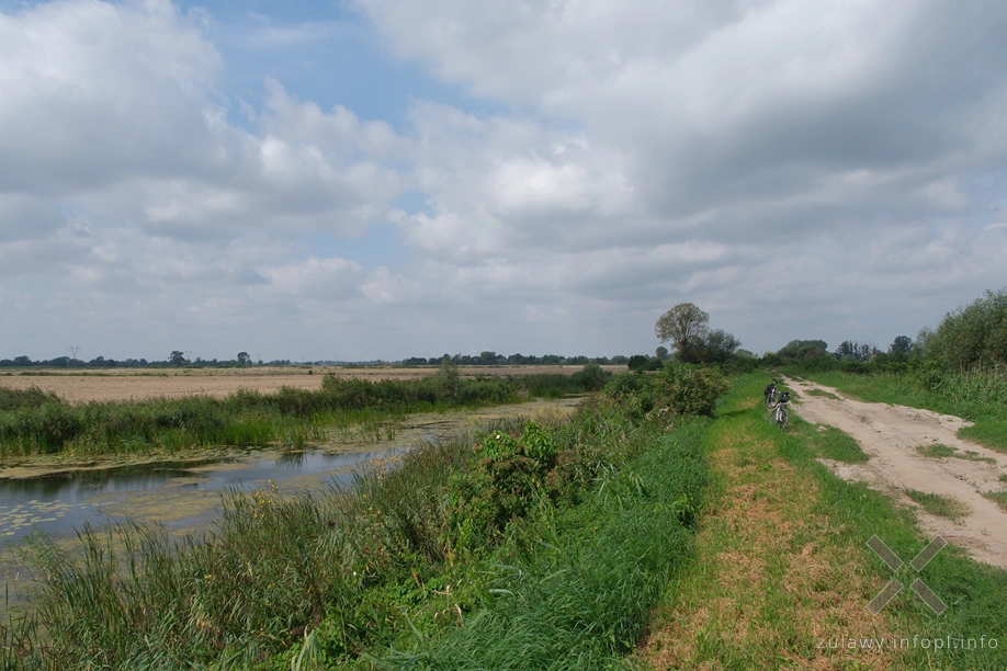 Polder Marzęcino Polder Marzęcino