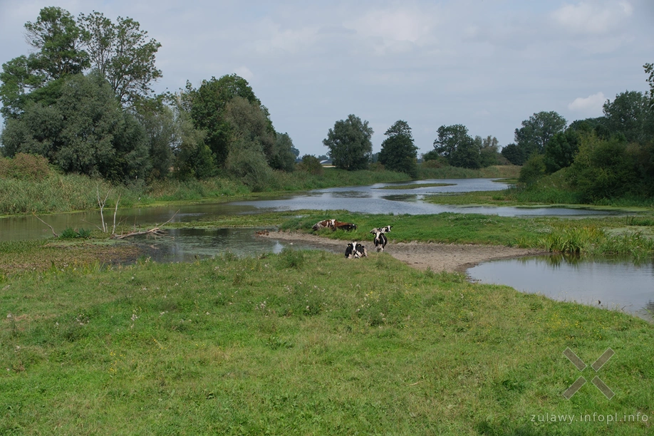 Kanał Panieński Kanał Panieński