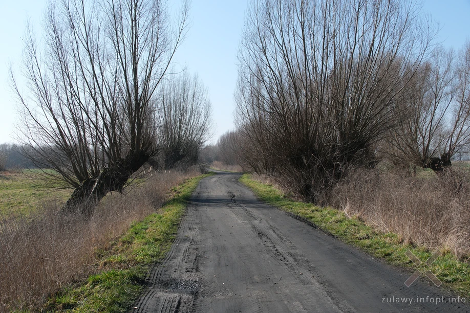 Żuławy