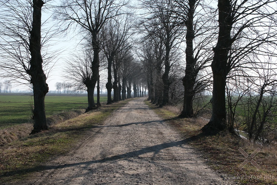 Żuławy