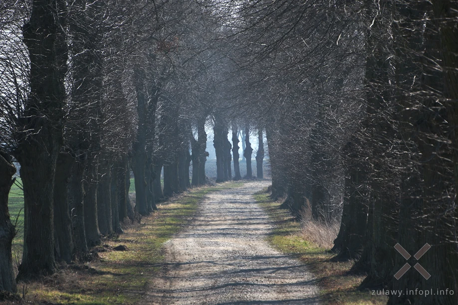 Żuławy