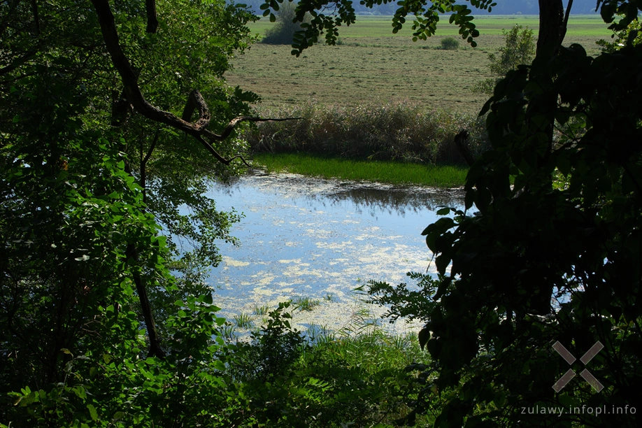 Na Żydziej Górze Na Żydziej Górze