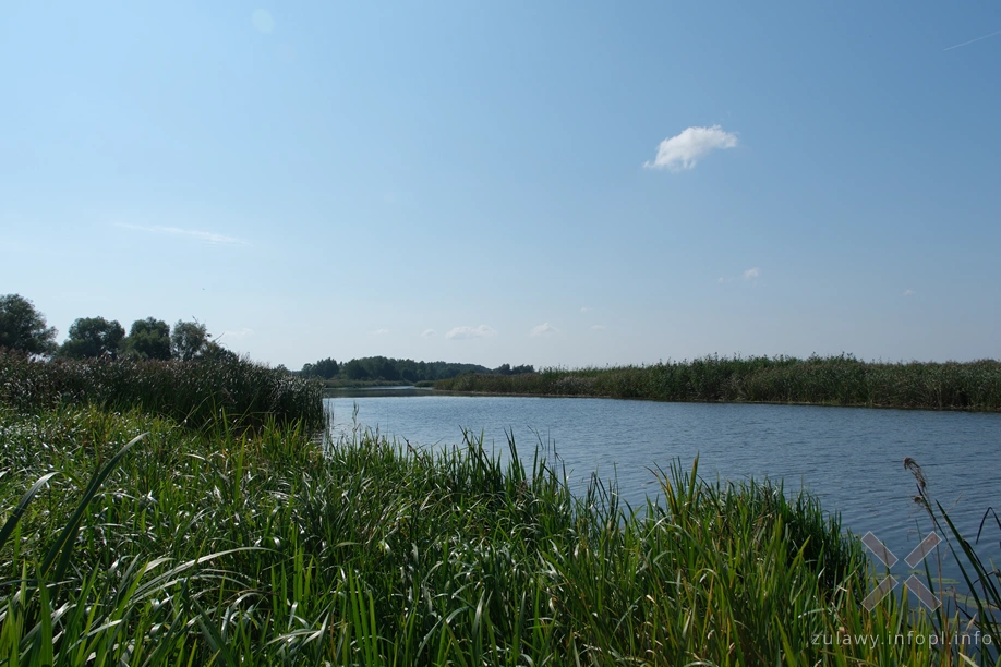 Nogat pod Żydzią Górą Nogat pod Żydzią Górą