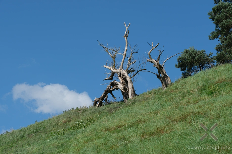 Na granicy Doliny Kwidzyńskiej i Pojezierza Dzierzgońsko-Morąskiego Na granicy Doliny Kwidzyńskiej i Pojezierza Dzierzgońsko-Morąskiego