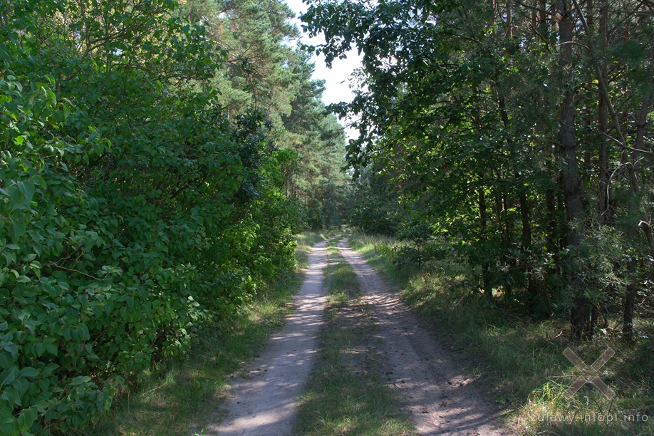 Na granicy Doliny Kwidzyńskiej i Pojezierza Dzierzgońsko-Morąskiego Na granicy Doliny Kwidzyńskiej i Pojezierza Dzierzgońsko-Morąskiego
