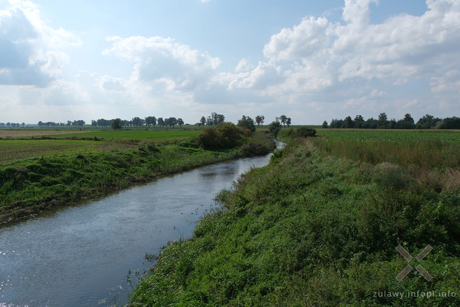 W Dolinie Kwidzyńskiej- Liwa W Dolinie Kwidzyńskiej- Liwa