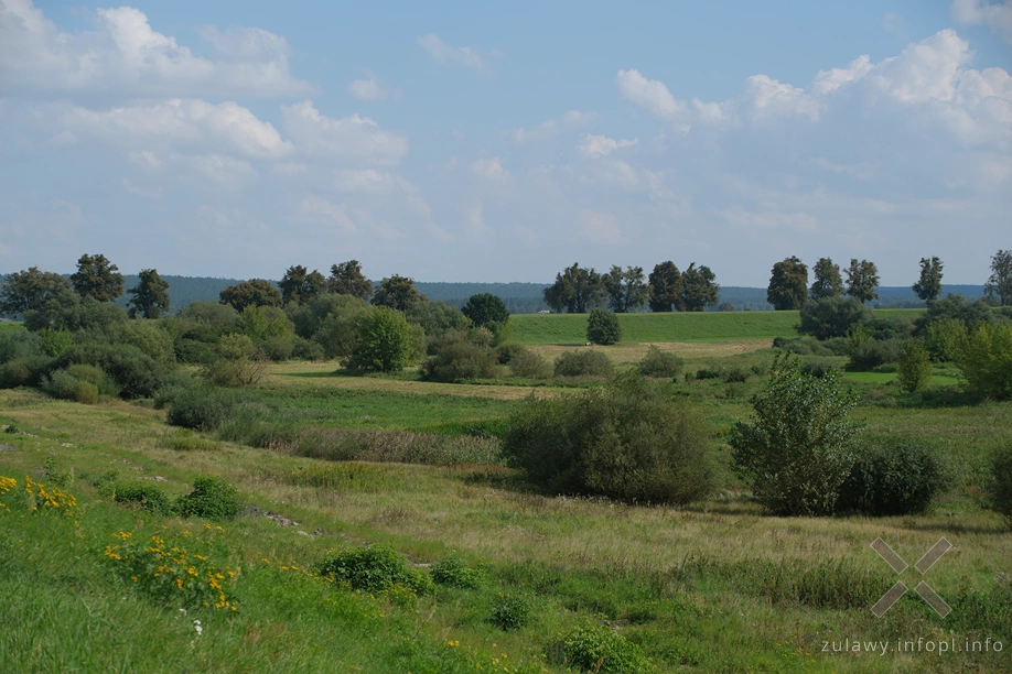 W Dolinie Kwidzyńskiej W Dolinie Kwidzyńskiej