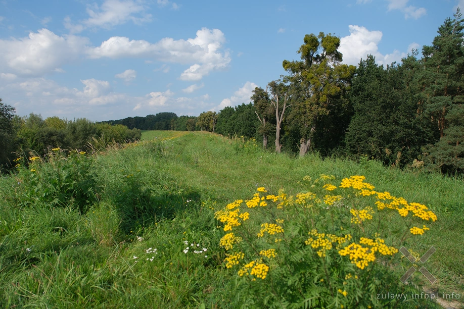 W Dolinie Kwidzyńskiej W Dolinie Kwidzyńskiej
