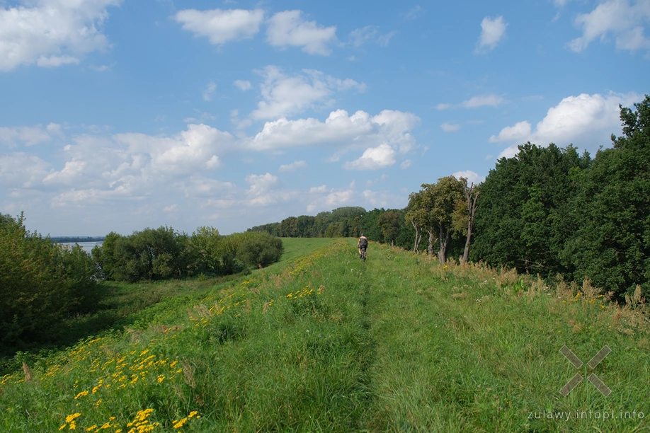 W Dolinie Kwidzyńskiej W Dolinie Kwidzyńskiej