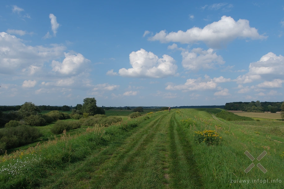 W Dolinie Kwidzyńskiej W Dolinie Kwidzyńskiej