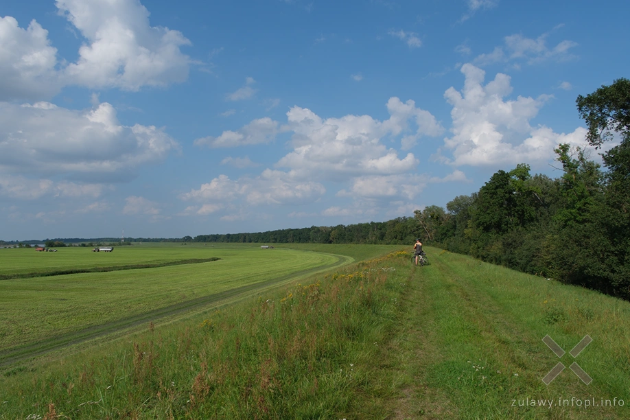 W Dolinie Kwidzyńskiej W Dolinie Kwidzyńskiej