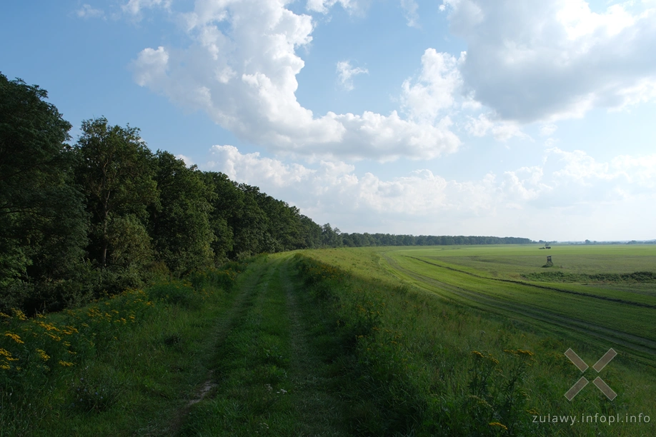 W Dolinie Kwidzyńskiej W Dolinie Kwidzyńskiej